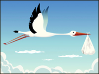 stork